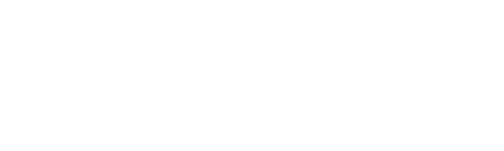 large-white-logo